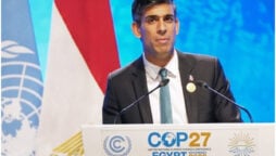 Rishi Sunak says Ukraine is a reason to act quickly on climate change