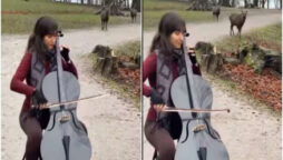 Woman Plays Cello in Forest for Deer, Old Video Goes Viral Again