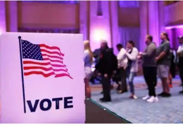 What are the midterm elections in the United States?