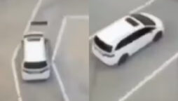 Driving Test or F&F Audition? Chinese clip intrigues internet