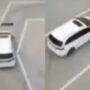 Driving Test or F&F Audition? Chinese clip intrigues internet