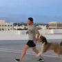 Dog Exercising With Owner Will Cure Your Monday Blues