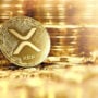 XRP Price Prediction: Today’s Ripple Price, 9th Nov 2022