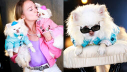 I’m single and won’t date until my dogs approve