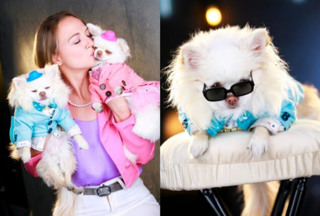 I’m single and won’t date until my dogs approve