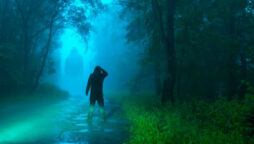 Hunter shot scary 8ft Bigfoot who put baby on back and fled away