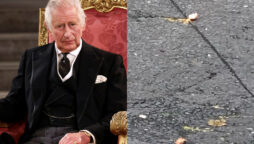 Eggs thrown at King Charles