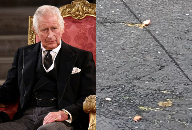 Eggs thrown at King Charles