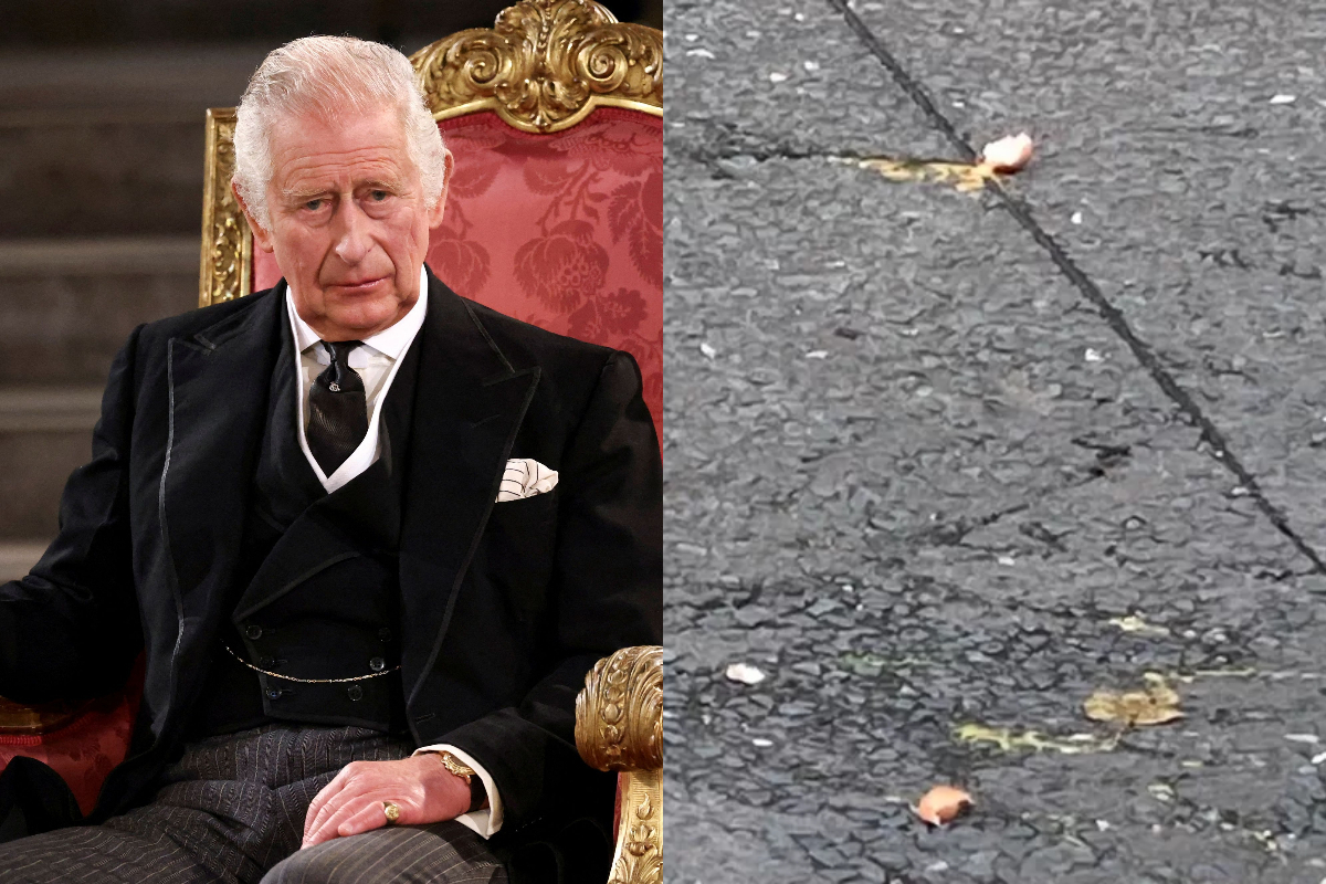 Eggs thrown at King Charles