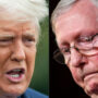 Mitch McConnell quiets on Trump’s midterm impact