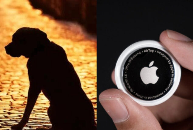 Apple AirTag reunited a lost dog with his owner