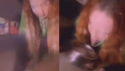 Madonna licking water out of dog bowl video went viral