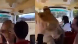 Lioness enters safari truck, everyone pets the cat