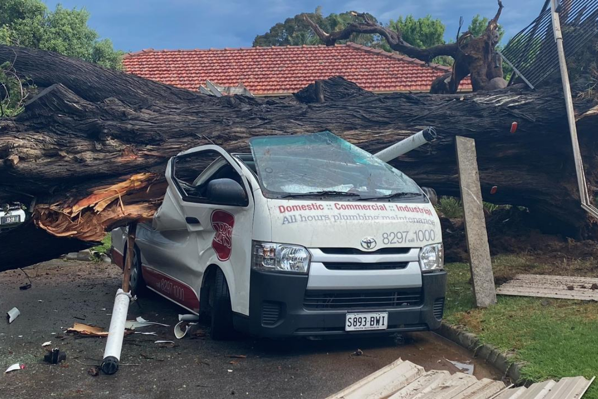 Shocking damage