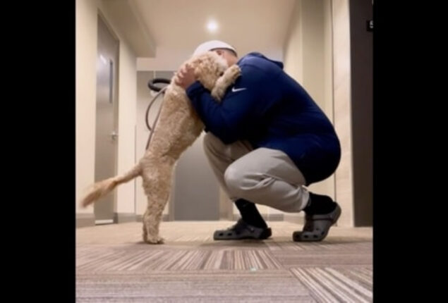 Dog cuddles her human every time they go out. Why? Watch video