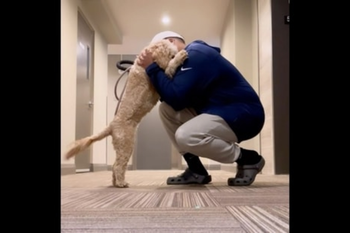 Dog cuddles