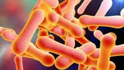 Diphtheria cases rises, therefore migrants will get a jab