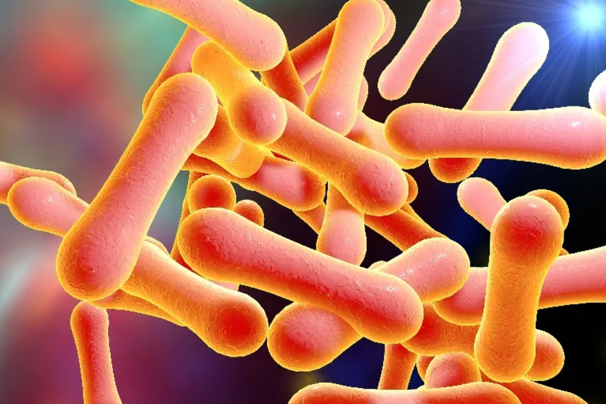 Diphtheria cases rises, therefore migrants will get a jab