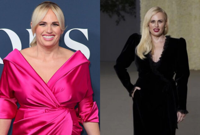 Rebel Wilson Applauds Building Royce Lillian’s Baby Swing: “Crushing Momhood”