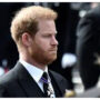 Prince Harry ‘will never be King, becomes less relevant to monarchy’