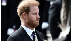 Prince Harry claims he has “personal experience” with parental loss