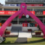 During the third T20I between Pakistan and Ireland, Gaddafi Stadium will turn pink