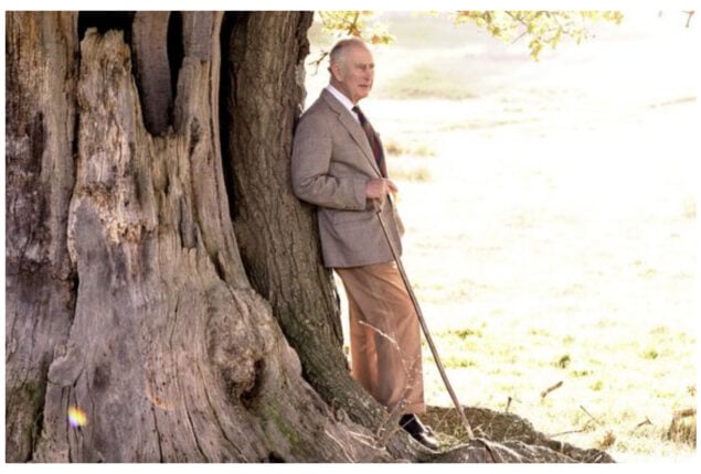 On the king Charles’s 74th birthday, Buckingham Palace revealed a new portrait