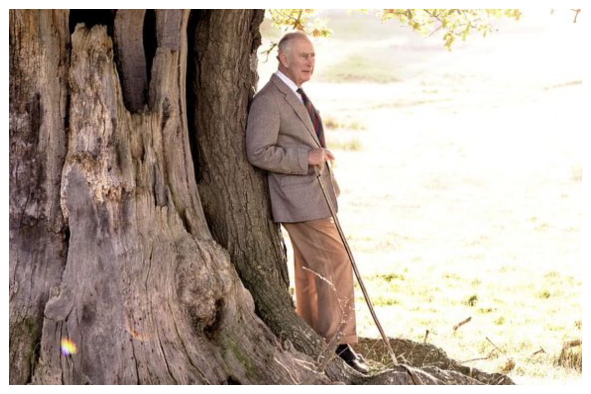 On the king Charles's 74th birthday, Buckingham Palace revealed a new portrait