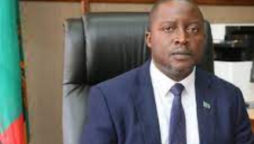 zambia foreign minister
