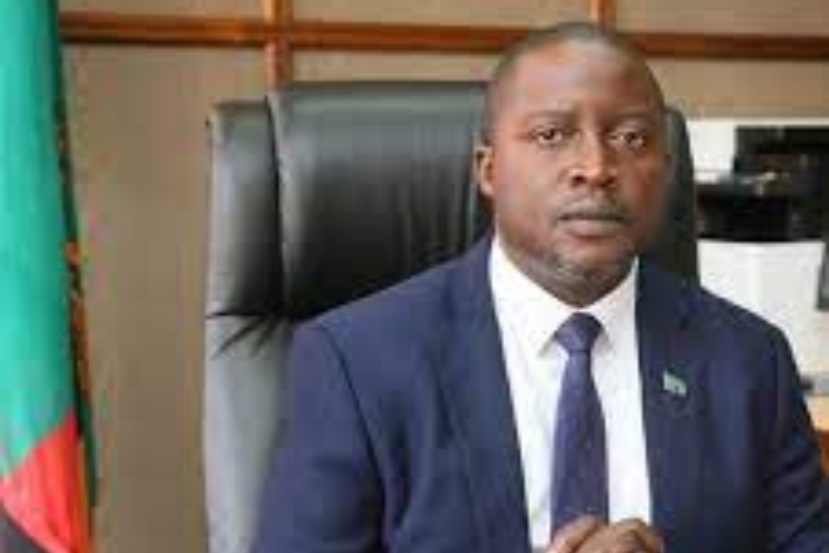 zambia foreign minister