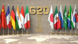 g20 summit bali