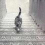 Optical Illusion: Which way is this cat going?