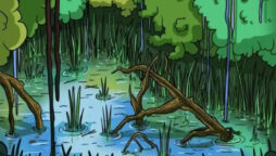 Optical Illusion: Can You Spot This Crocodile in 15 Seconds?