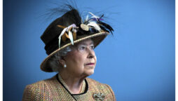 Queen Elizabeth II ‘desired’ to’mother’ her own children