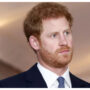 Prince Harry’s ‘courteous and dignified’ appearance hailed