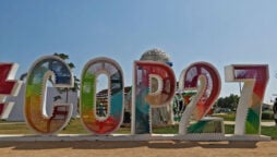 cop27