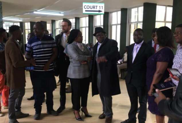 Zimbabwe court frees 14 opposition activists jailed for months