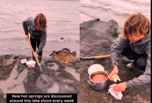 Watch viral: Icelandic man bakes bread underneath