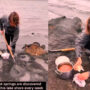 Watch viral: Icelandic man bakes bread underneath