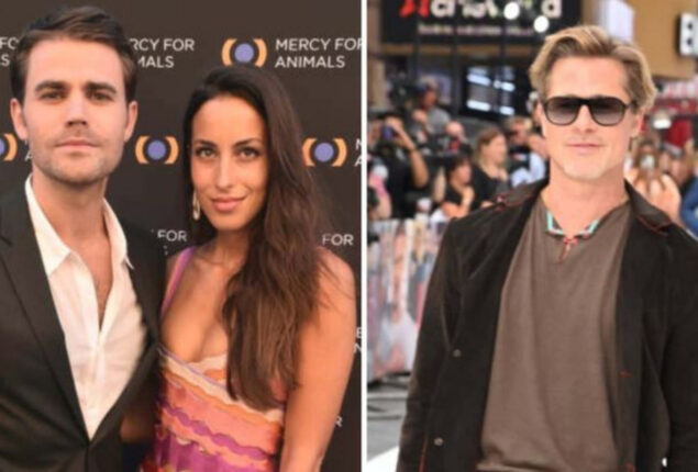 Brad Pitt and Paul Wesley’s ex-wife, were spotted together at a Bono concert