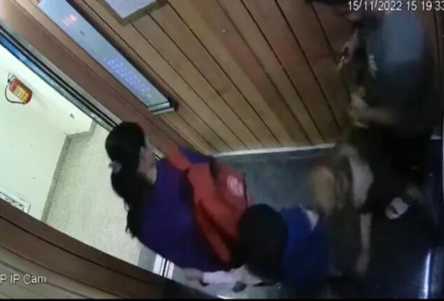 Dog strikes