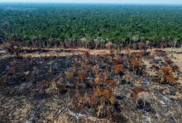 At climate summit, Lula says deforestation must cease