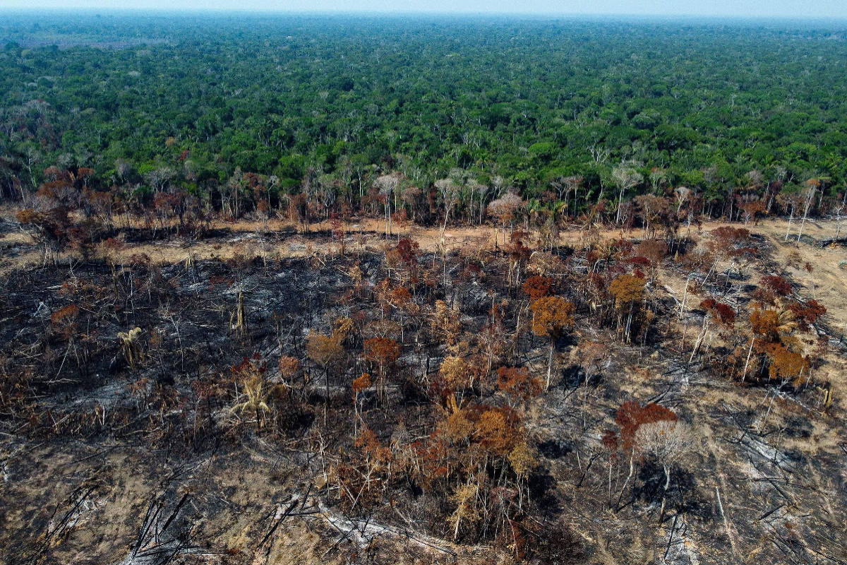 At climate summit, Lula says deforestation must cease