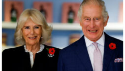 King Charles and Camilla’s particular wedding cake slice falls under the hammer