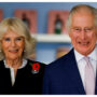 King Charles and Camilla’s particular wedding cake slice falls under the hammer