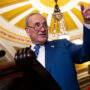 Same-sex marriage bill passes in US Senate with rare bipartisan support