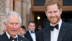king charles prince harry