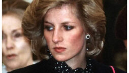 Princess Diana became a “TV drama waiting to happen”