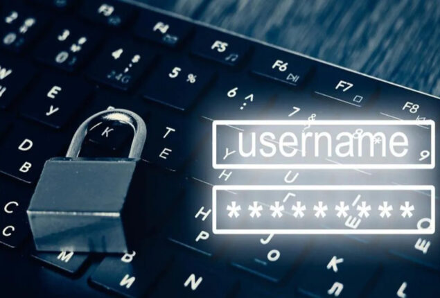 Here Are the Top 10 Indian Passwords for 2022