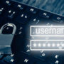Here Are the Top 10 Indian Passwords for 2022